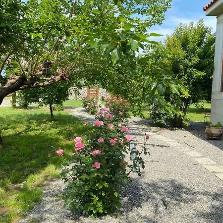 Apartmán Kampus Luxury Tríkala